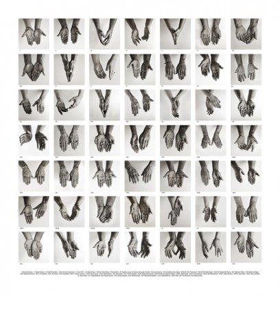 43 Gardeners' Hands 43 Gardeners' Hands