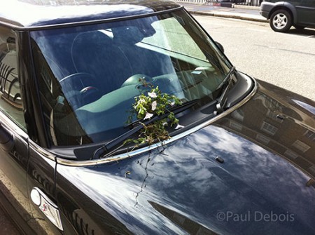 And a Mini Cooper in an adjacent street. One of the residents was obviously inspired by the alternative plant containers. Mini Cooper with flowers on the windscreen