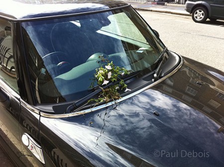 Mini Cooper with flowers on the windscreen