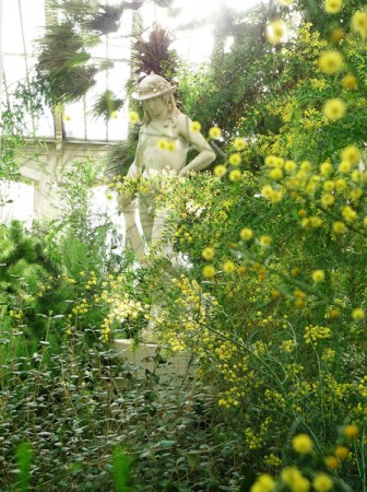 Temperate greenhouse, Kew Gardens