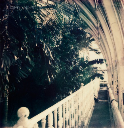 'Palm House 1' Kew Gardens - SX-70 print