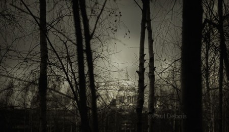 View towards St Paul's Cathedral from Tate Modern