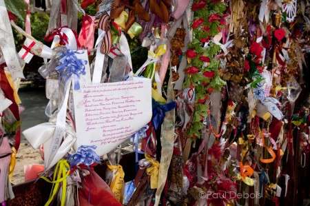 Cross Bones Graveyard, Winchester Geese