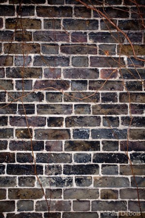 climber on wall, Garden Museum