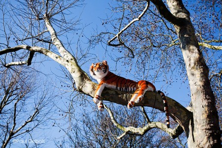 The Bermondsey Tiger