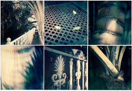 The Palm House, Kew