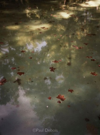 Sevilla, Parque Maria Luisa