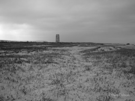 Torre de Castilnovo near Conil