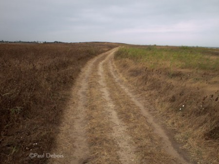 path, near El Palmar