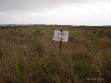 nature reserve, El Palmar