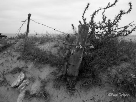 beach approaching Cape Trafalgar