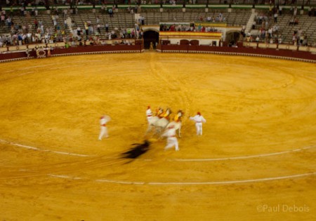 Bullfight, El Puerto de Santa Maria