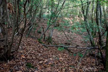 WW2 V1 flying bomb crater in Kent