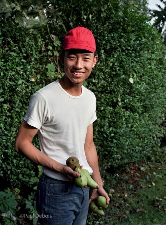 Zhenghan Hao, volunteer fruit picker