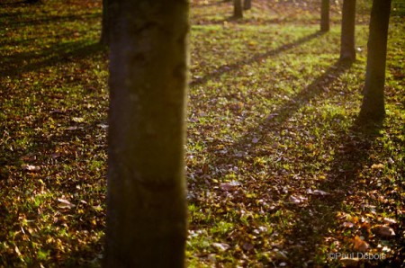 autumn colour - test shots, Gunnersbury and Ealing