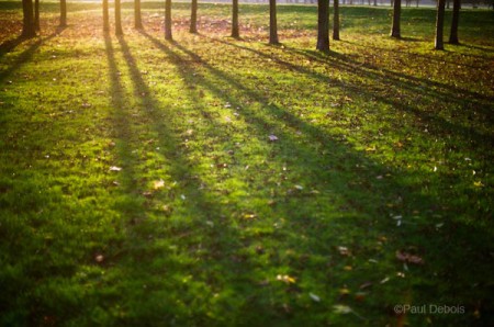 autumn colour - test shots, Gunnersbury and Ealing