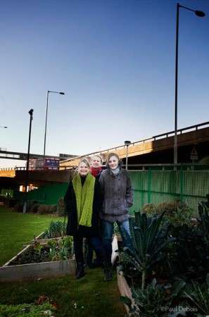 Camilla Phelps, journalist, Tamsin Hope-Thomson and Kate Bradbury, garden journalists and researchers at the BBC allotment, White City