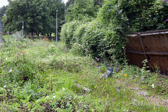 Derelict flower bed, West Lodge Gate, Gunnersbury Park next to elevated section of M4