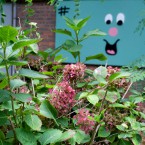 Urban Forest, Elephant and Castle