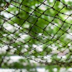 Urban Forest, Elephant and Castle. Barbed wire hammock