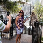 Tourists with Barbary Ape, Gibraltar