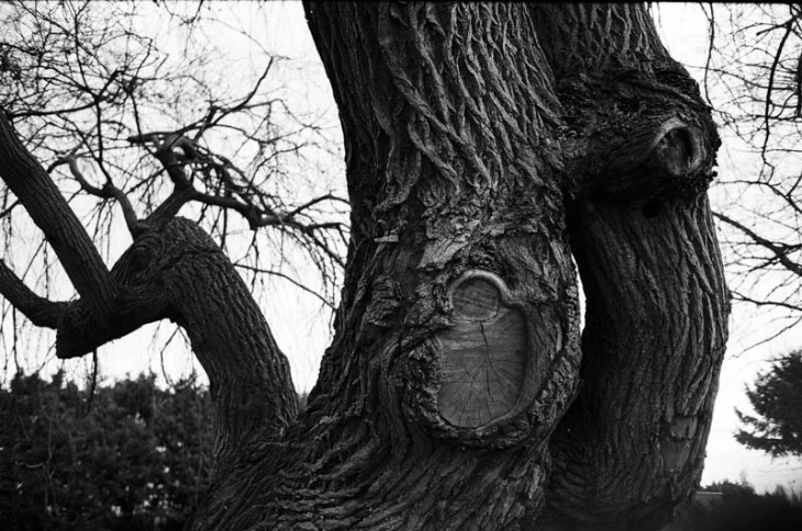 Near Chiswick Bridge