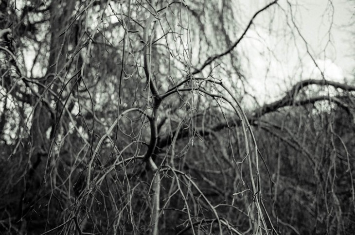 Kew Gardens