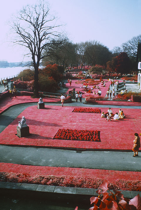 Bishops Park near Putney Bridge, infra red