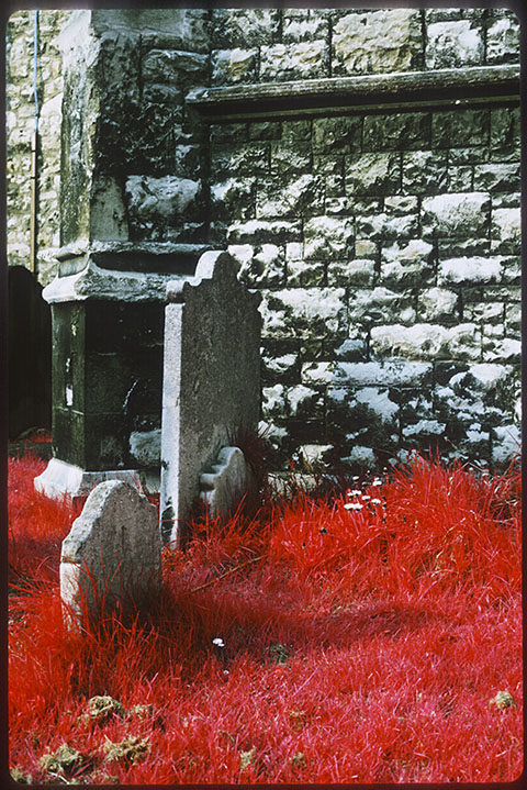 Churchyard, Bishops Park near Putney Bridge, infra red