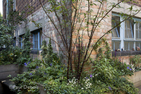WC Garden @Vanguard Court, Chelsea Fringe project from 2013. Revisit in 2014 for the relaunch as Anna Rose Hughes' studio.